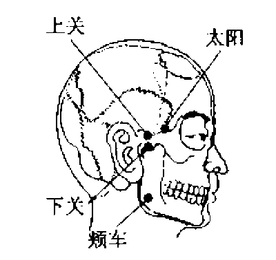 上关穴位于耳前,下关直下,当颧弓的上缘凹陷处.