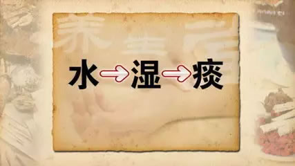 体内痰饮从何来?代谢失常则痰聚